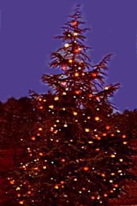 Christmas Tree, Columbus College, 1966